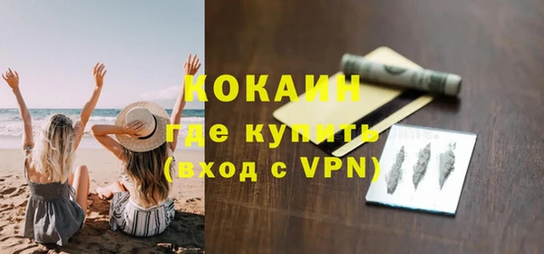 прущие грибы Богородицк