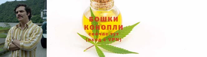 прущие грибы Богородицк