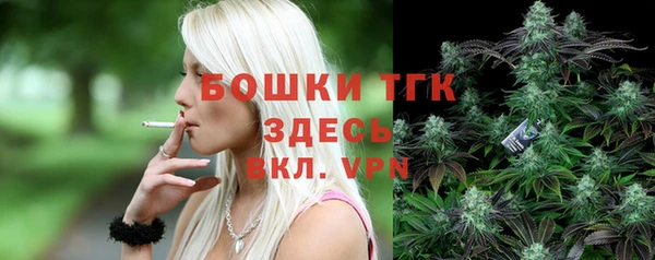 прущие грибы Богородицк